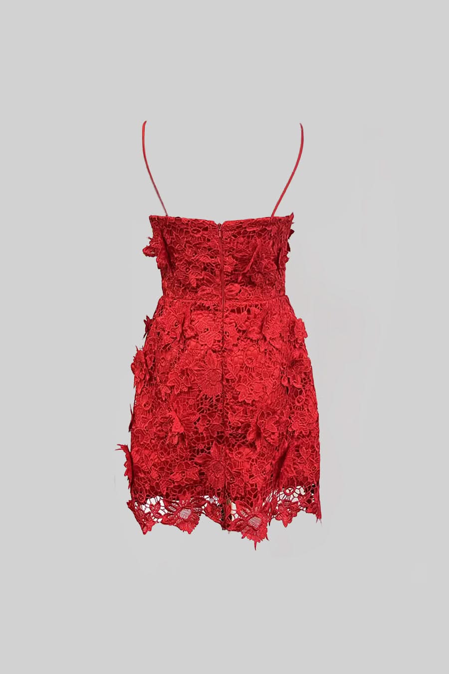 Elegant Mini Dress With Floral Lace Detailing - Red