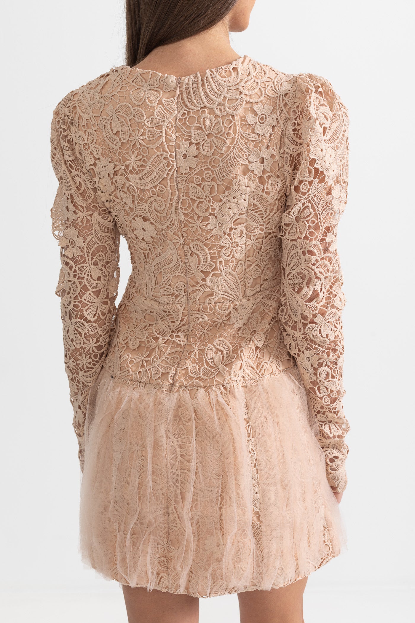 Silhouette Dress With Tulle Skirt And Lace Details - Beige