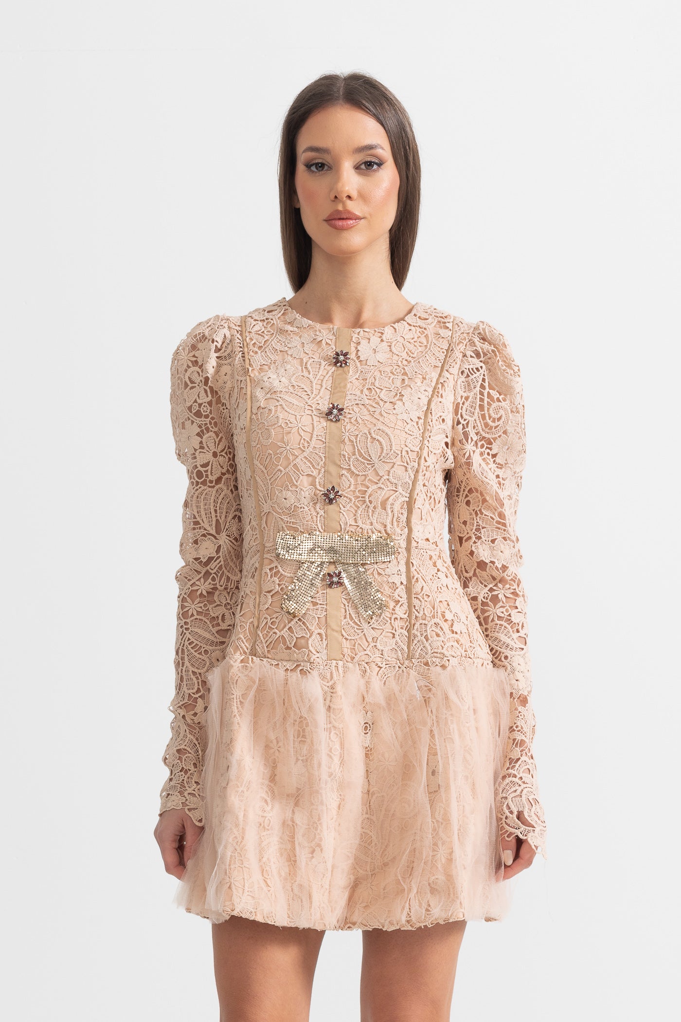 Silhouette Dress With Tulle Skirt And Lace Details - Beige