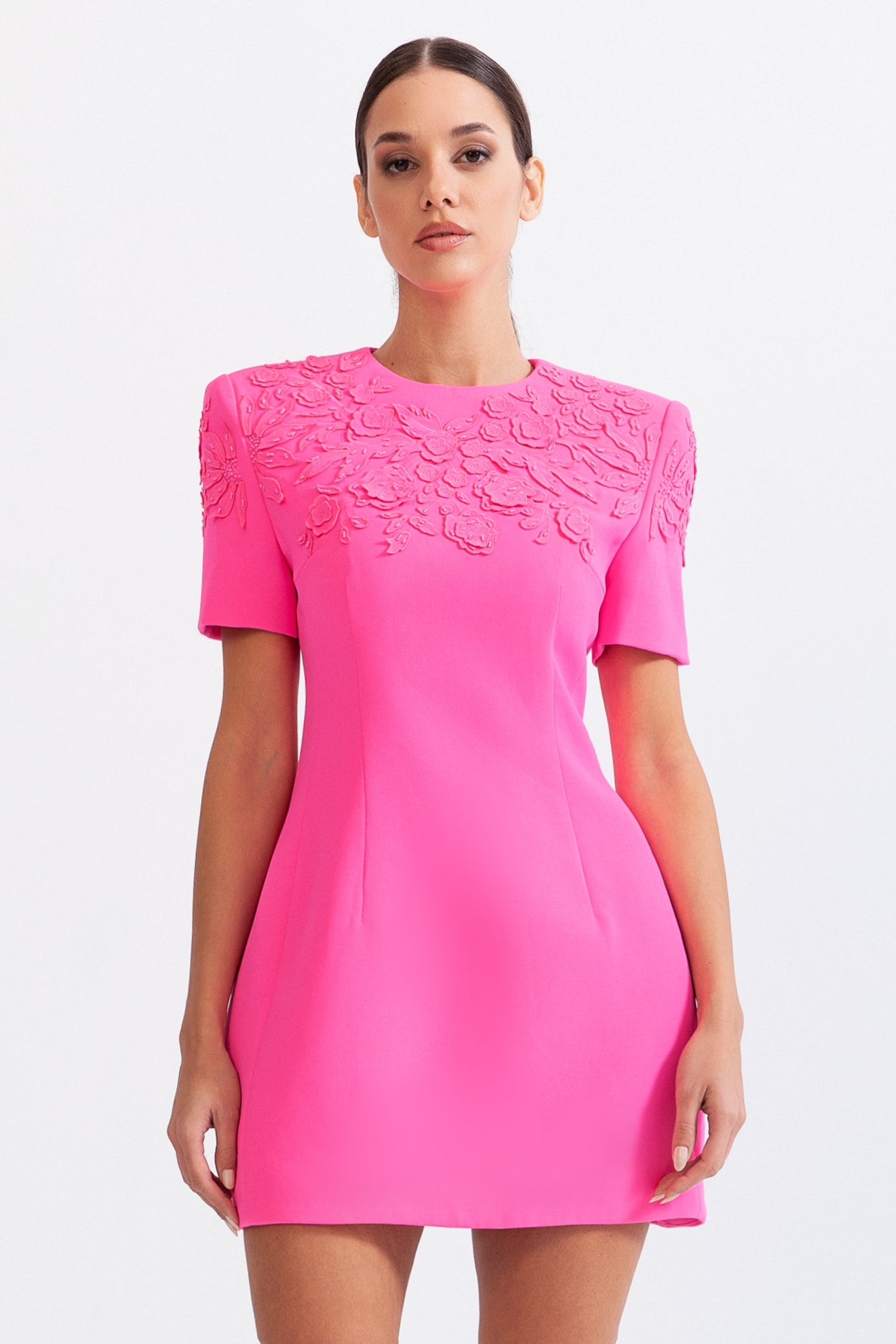 Fuchsia embroidered dress best sale